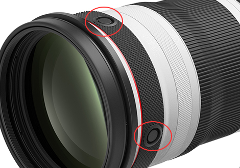 Canon Lens RF100-300mm f/2.8L IS USM - Image 8