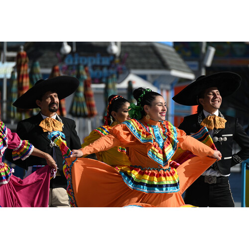 Nikon NIKKOR Lens Z 28-400mm f/4-8 VR - Image 13