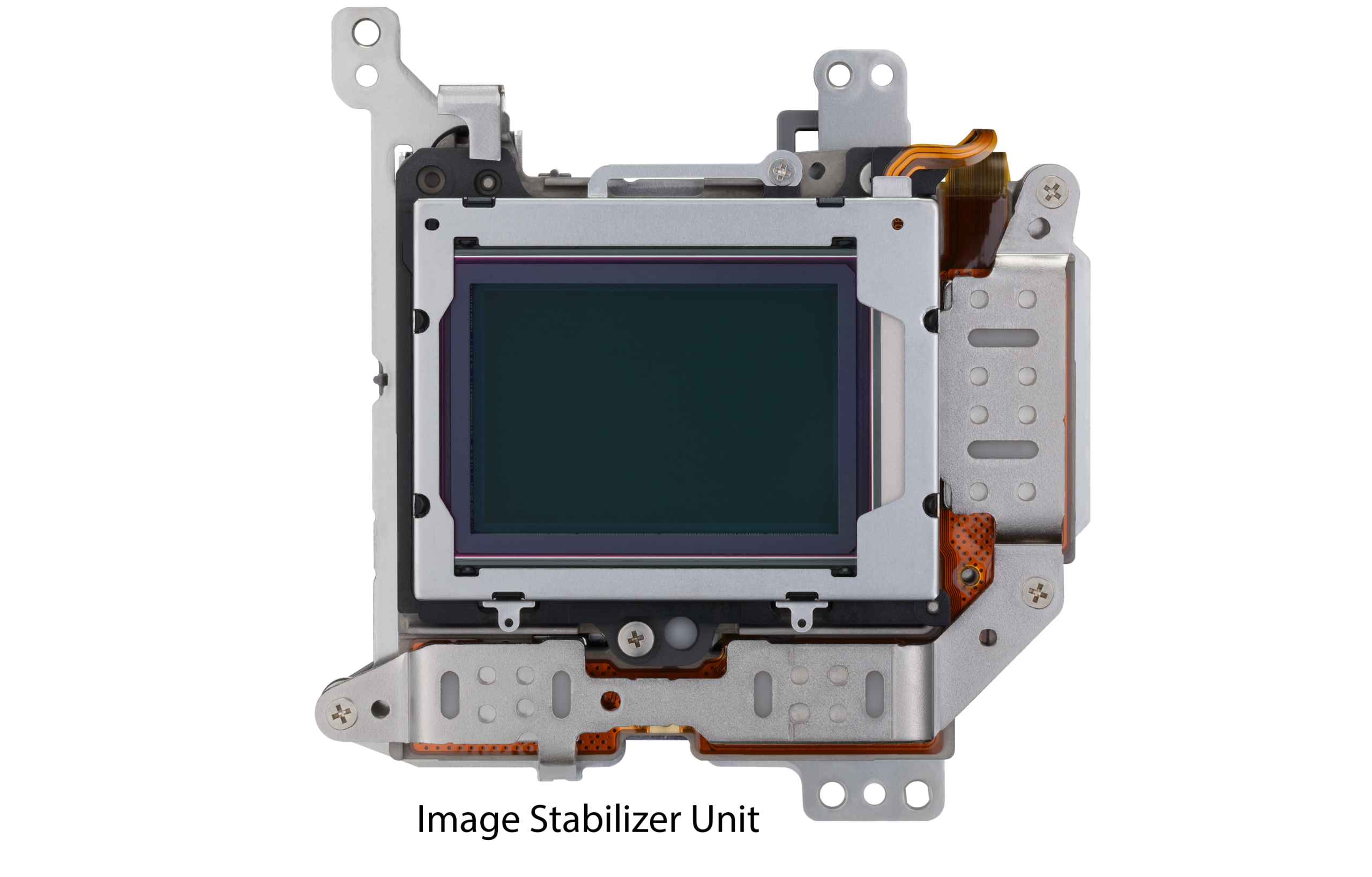 Canon EOS R1 (Body) - Image 5