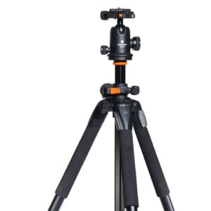 Vanguard Alta Pro 263 AB 100