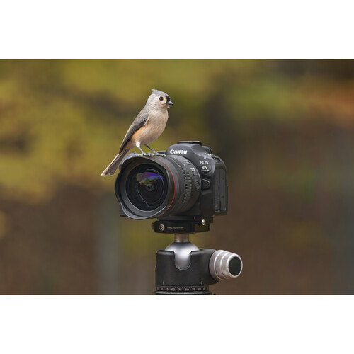 Canon EOS R6 Mark III (Body Only) Mirrorless Camera - Image 9