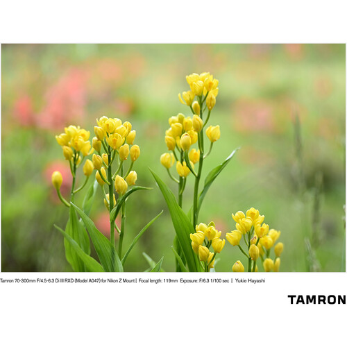 Tamron 70-300 f/4.5-6.3 Di III RXD Lens Sony E (A047S) - Image 13