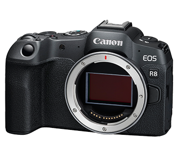 Canon EOS R8 (Body)