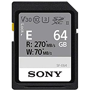 Sony SF-E 64GB Memory Card