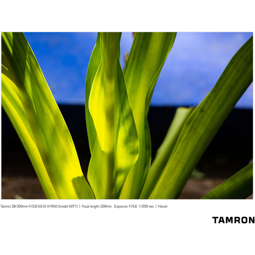 Tamron 28-200mm f/2.8-5.6 Di III RXD Lens For Sony E (A071SF) - Image 9