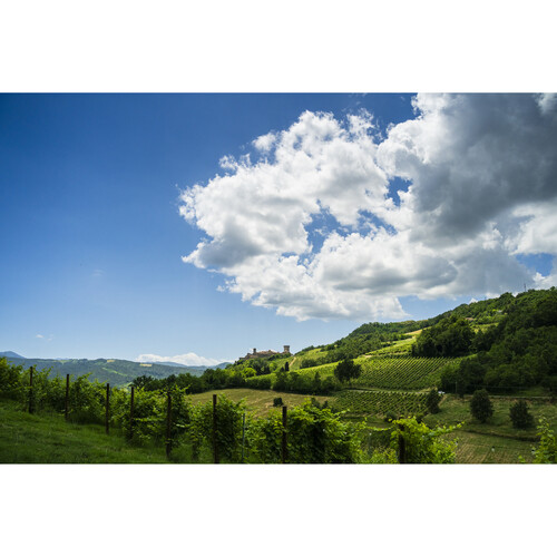 Tamron 28-300mm f/4-7.1 Di III VC VXD Lens Sony E (A074S) - Image 12