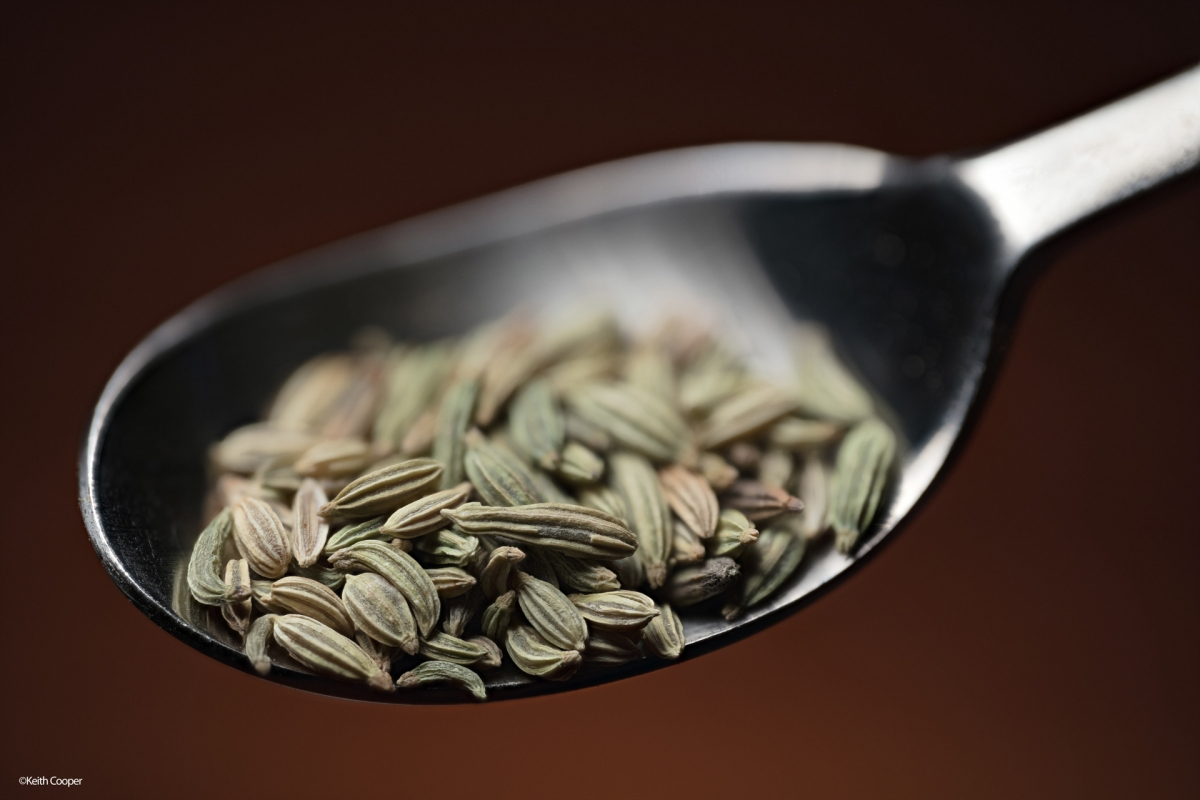 Laowa 100mm f/2.8 2x Ultra Macro APO Lens Nikon Z - Image 5