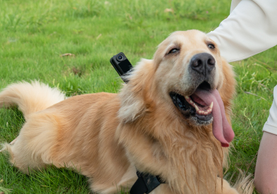 SJCAM C400 Handheld Action camera - Image 10