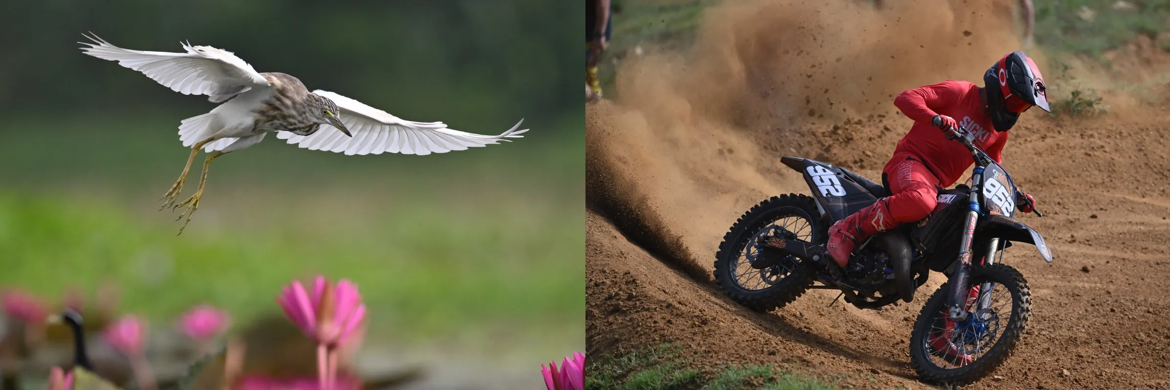 NIKKOR Lens Z 600MM F/6.3 VR S - Image 8