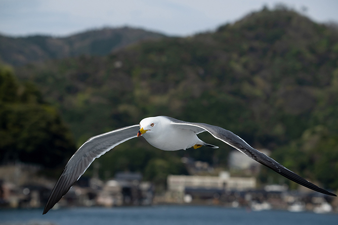 Tamron 150-500mm f/5-6.7 Di III VC VXD Lens FUJIFIM X - Image 8