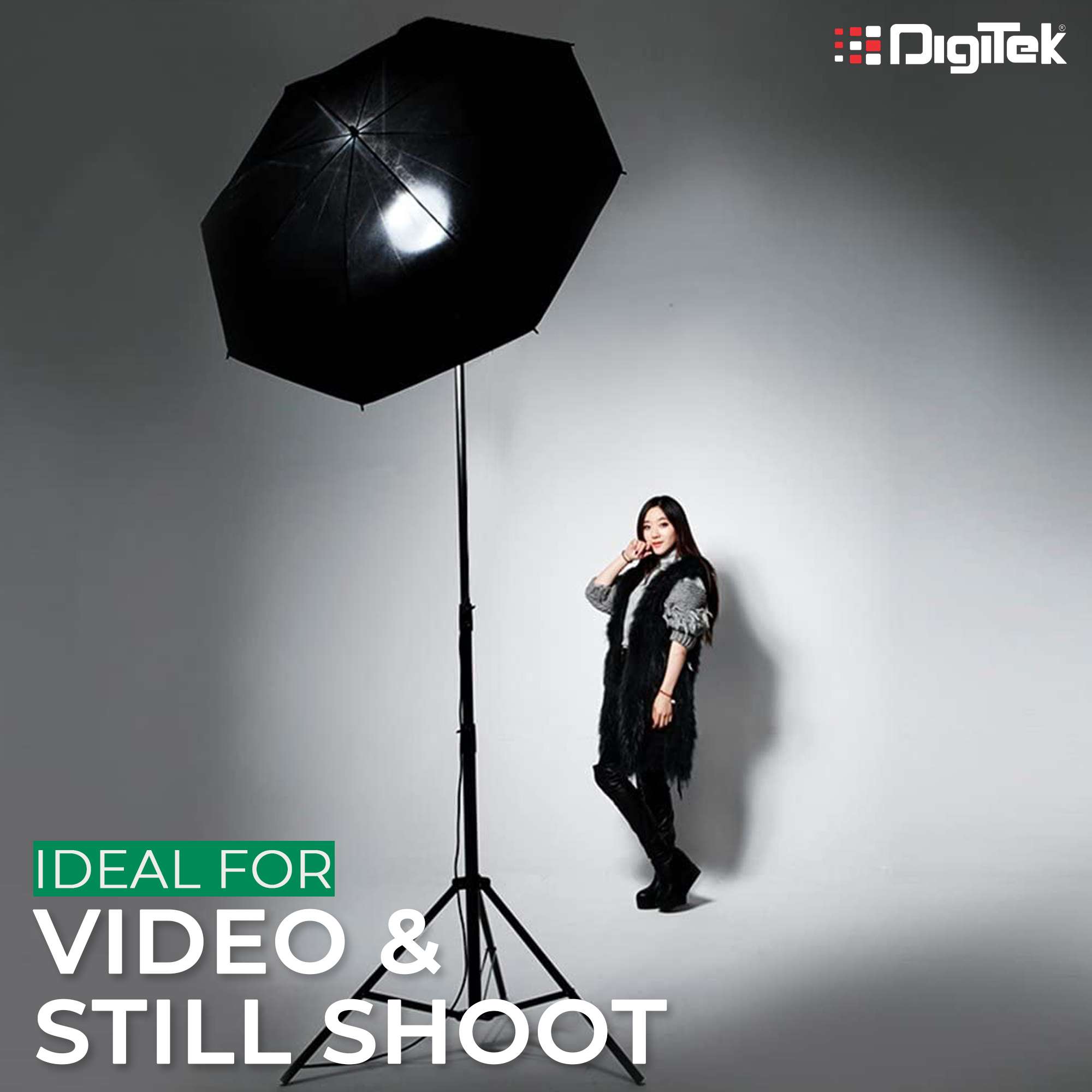 Digitek (DPL 003) Porta Light with 1000 Watt Halogen Tube - Image 2