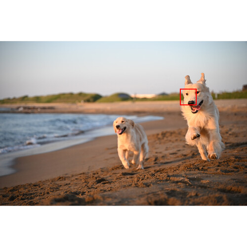 Nikon Zf Mirrorless Camera With Nikkor Z 28-75mm f/2.8 Lens Kit - Image 14