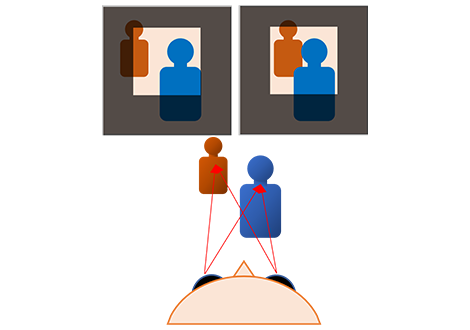 Canon Lens RF5.2mm f/2.8L Dual Fisheye - Image 4