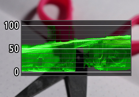 Canon EOS R5 Mark II with RF24-105mm f/4L IS USM - Image 13