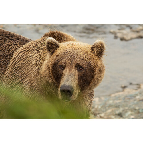 Sigma 100-400mm f/5-6.3 DG DN OS Contemporary Lens FUJIFILM X - Image 11