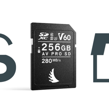 Angelbird AV PRO SD MK2 V60 256GB Memory Card