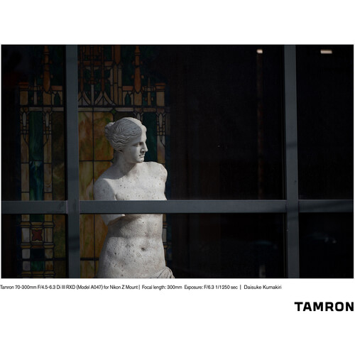 Tamron 70-300 f/4.5-6.3 Di III RXD Lens Sony E (A047S) - Image 11