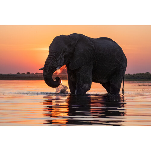 Sigma 100-400mm f/5-6.3 DG DN OS Contemporary Lens FUJIFILM X - Image 13