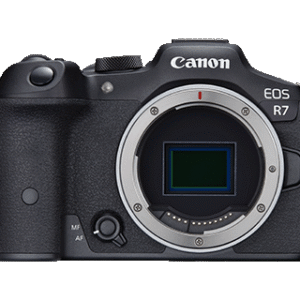 Canon EOS R7 (Body)