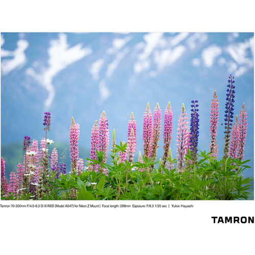 Tamron 70-300 f/4.5-6.3 Di III RXD Lens Sony E (A047S) - Image 12