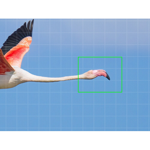 OM SYSTEM OM-1 Mark II Mirrorless Camera (Body Only) - Image 12