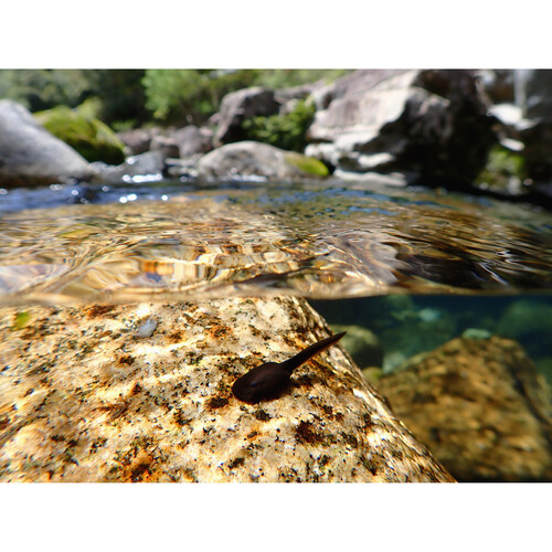 OM System Tough TG-7 CAMERA - Image 2