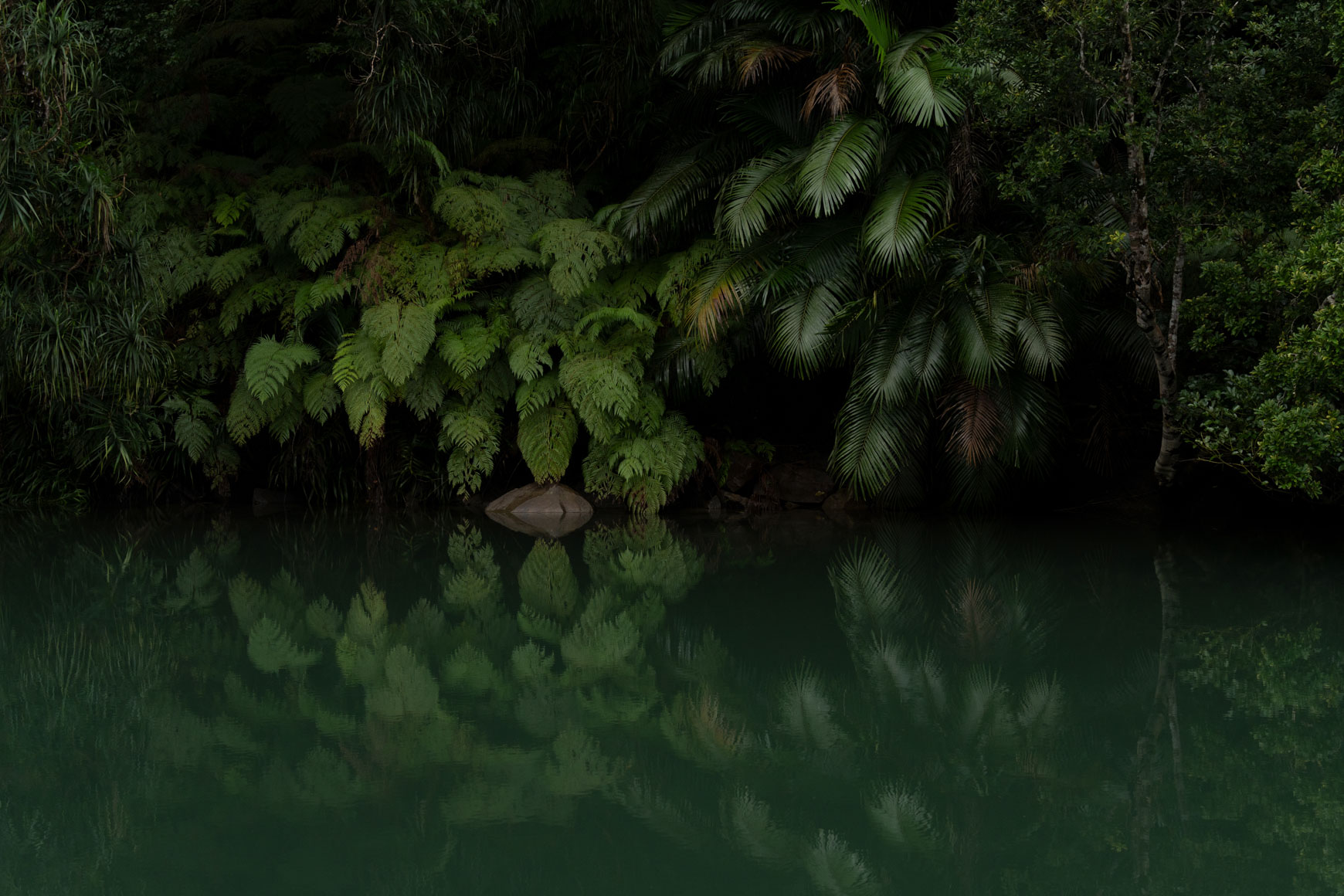 Tamron 50-300mm f/4.5-6.3 Di III VC VXD Lens Sony E (A069S) - Image 14