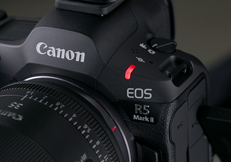 Canon EOS R5 Mark II with RF24-105mm f/4L IS USM - Image 14