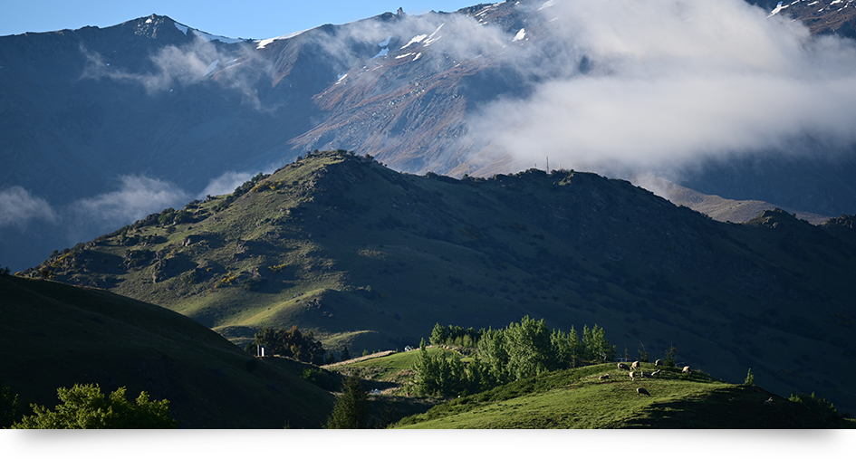 NIKKOR Lens Z 70-200MM F/2.8 VR S - Image 4