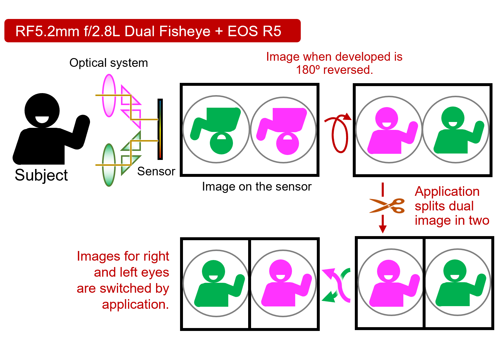 Canon Lens RF5.2mm f/2.8L Dual Fisheye - Image 10