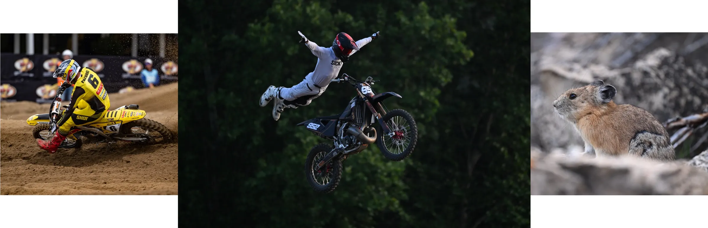 NIKKOR Lens Z 600MM F/6.3 VR S - Image 7