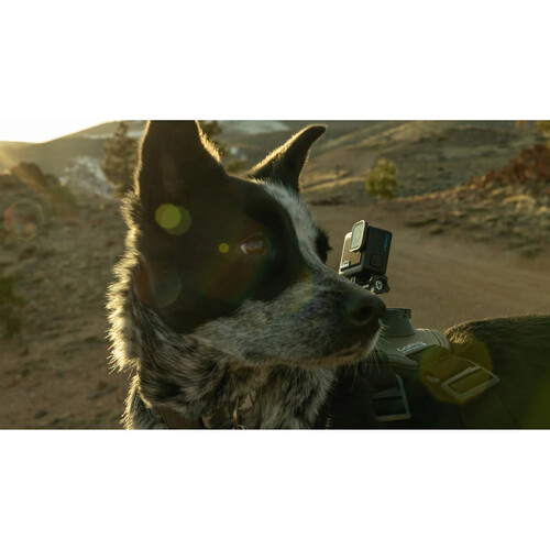 GoPro HERO Compact Action Camera - Image 13