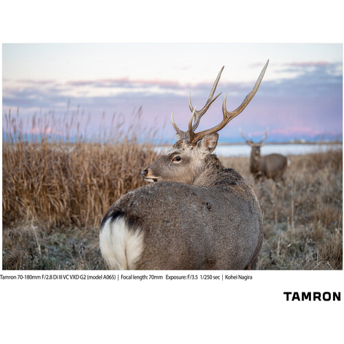 Tamron 70-180mm f/2.8 Di III VC VXD G2 Lens Sony E (A065S) - Image 15