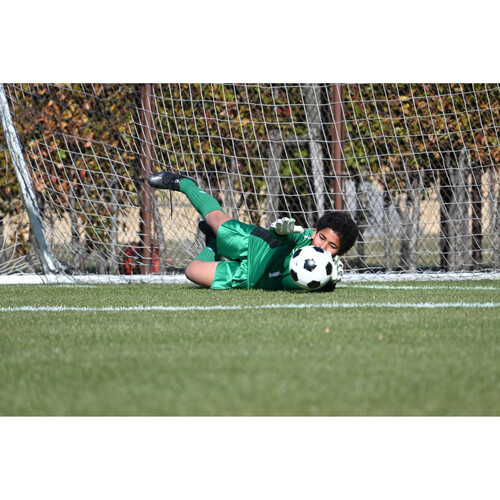 Nikon NIKKOR Lens Z 28-400mm f/4-8 VR - Image 14