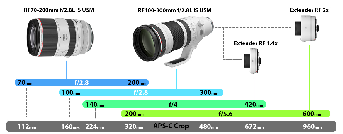 Canon Lens RF100-300mm f/2.8L IS USM - Image 4
