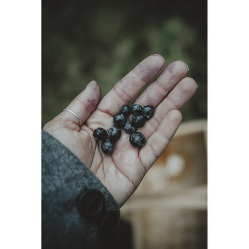 OM SYSTEM OM-5 Mirrorless Camera (Black) - Image 15